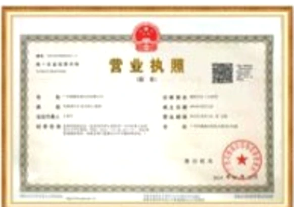 Business License