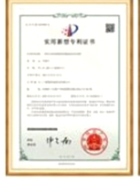 Utility Model Patent 01
